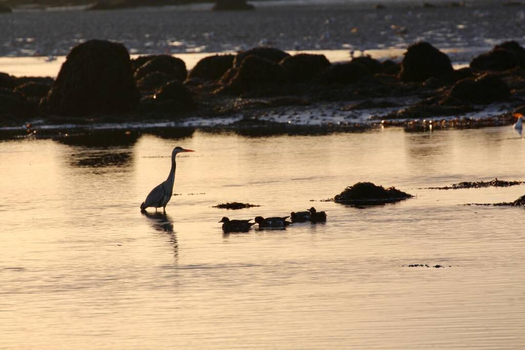 Curlews Rest - Gateway To The Aran Islands Διαμέρισμα Γκάλγουεϊ Εξωτερικό φωτογραφία